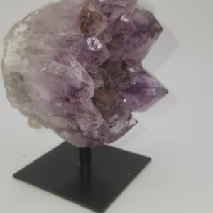 Metal Stand:AMY Cluster MS (S)