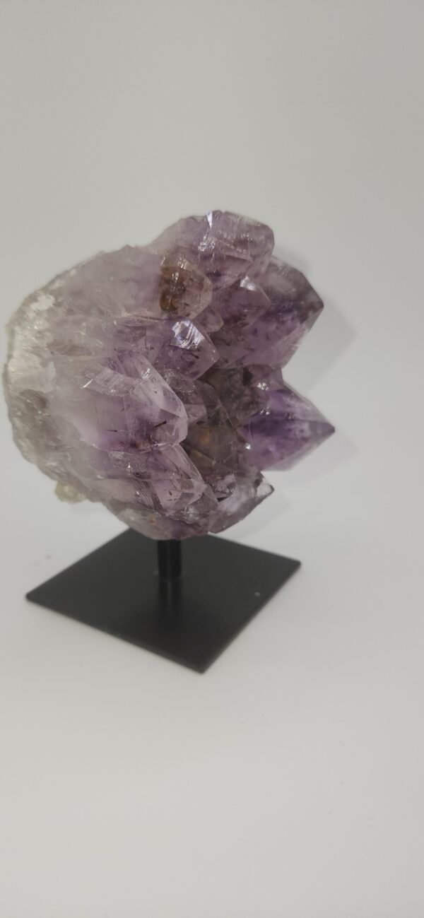 Metal Stand:AMY Cluster MS (S)