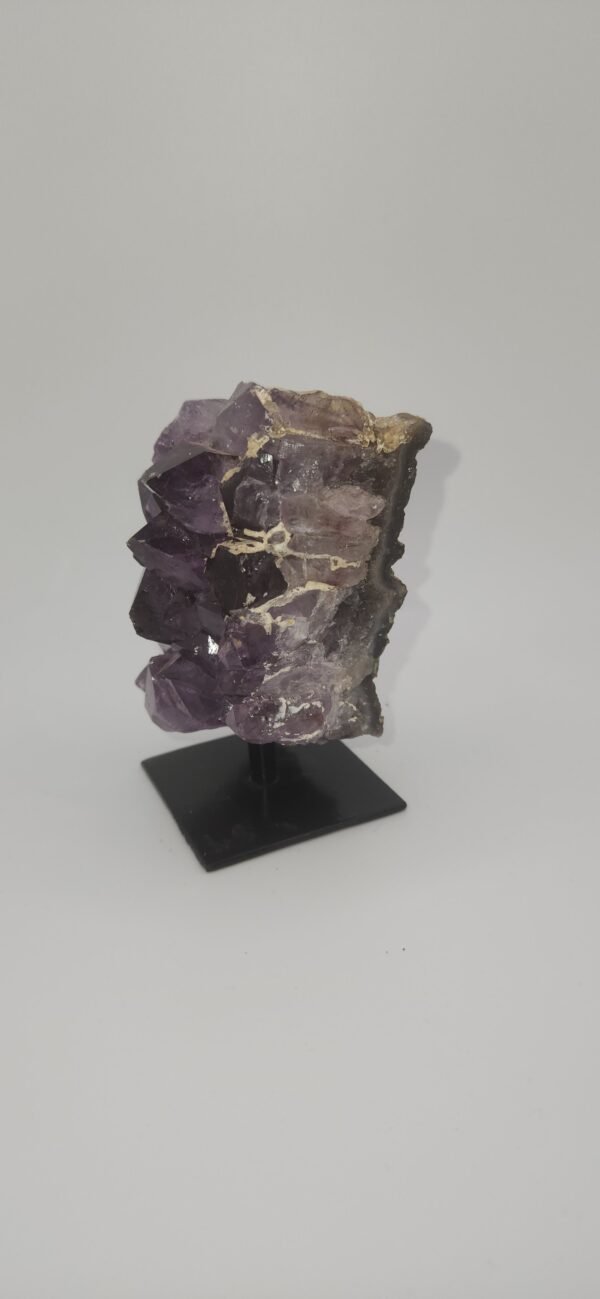 Metal Stand:AMY Cluster MS (S) - Image 7