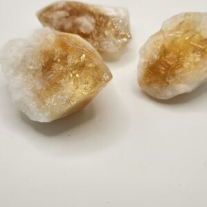 CITRINE:CITR Tooth Pnt (M)