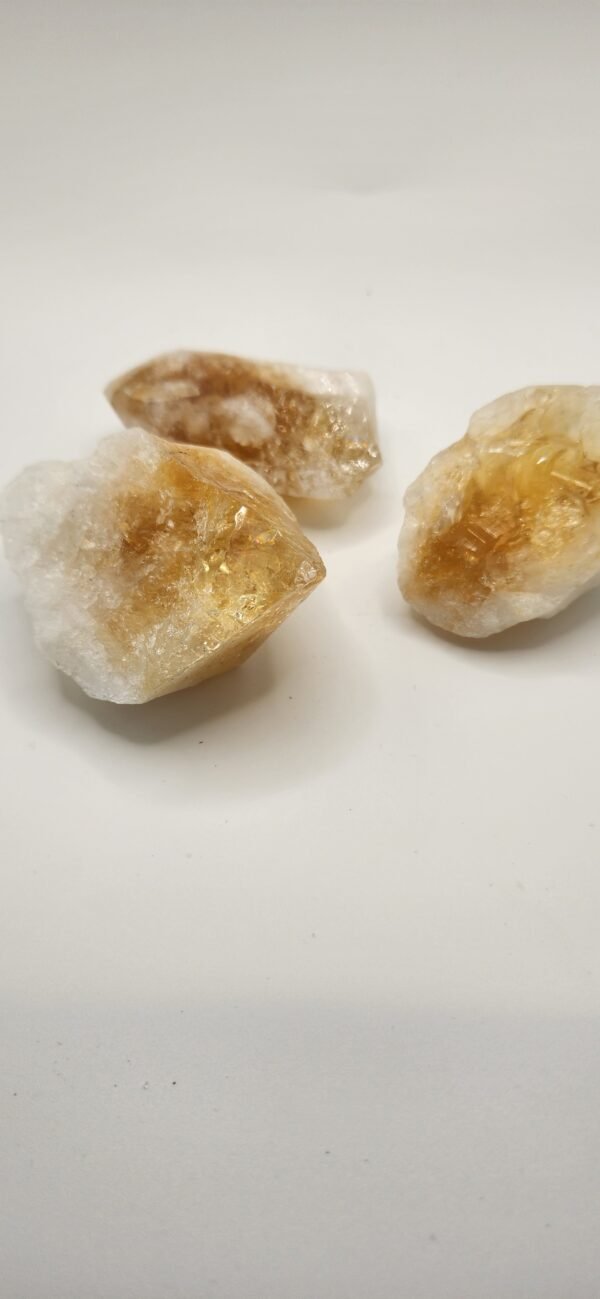 CITRINE - BULK:CITR TOOTH PNT (M) - Image 4