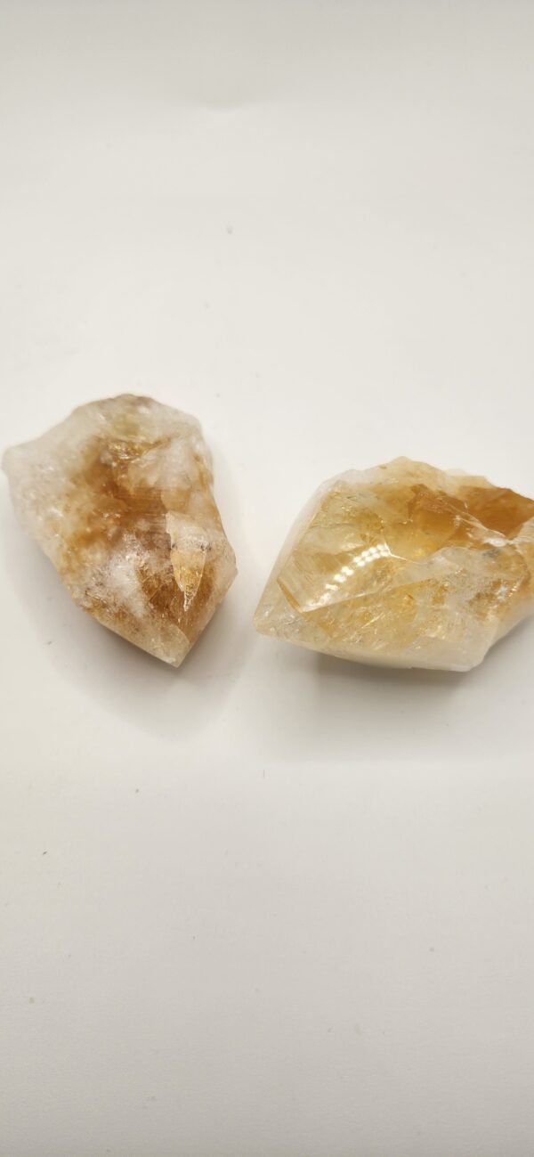 CITRINE - BULK:CITR TOOTH PNT (M) - Image 3