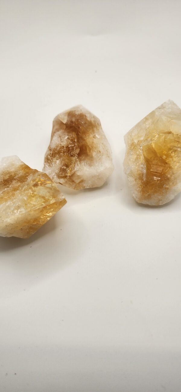 CITRINE - BULK:CITR TOOTH PNT (M)