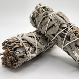METAPHYSICAL:Sage