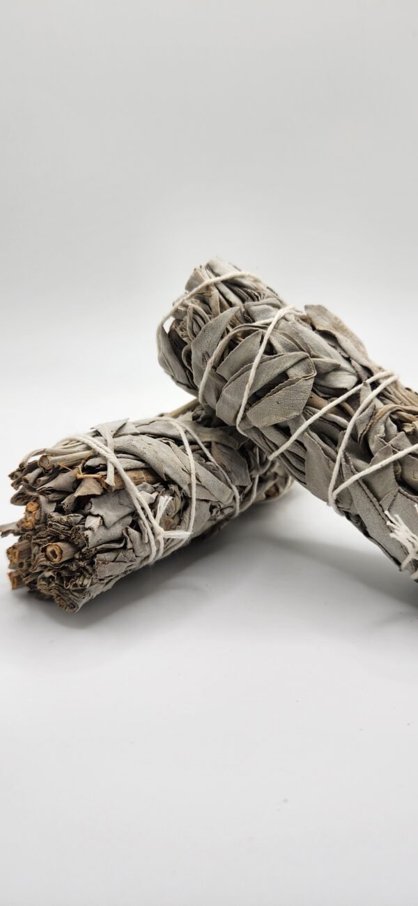 METAPHYSICAL:Sage
