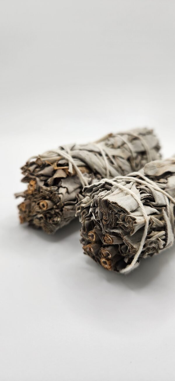 METAPHYSICAL:Sage - Image 2