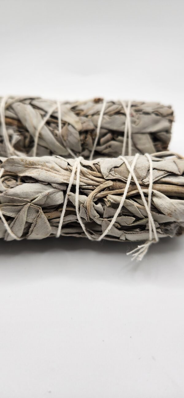 METAPHYSICAL:Sage - Image 3