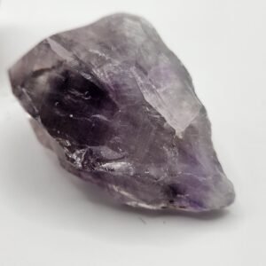 AMETHYST BULK:AMY Tooth Pnt (M)