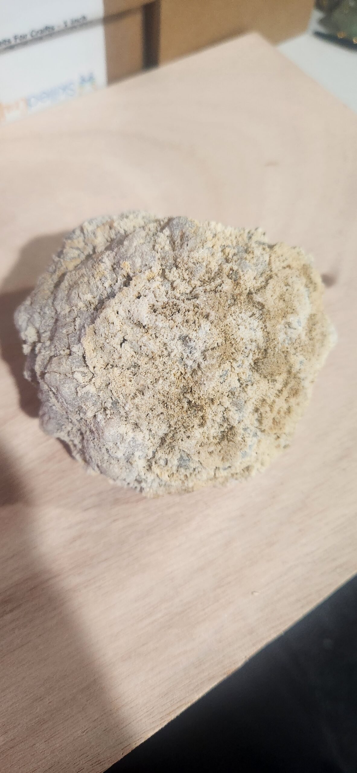 GEODE:BYOG (XL)(12 Pack)