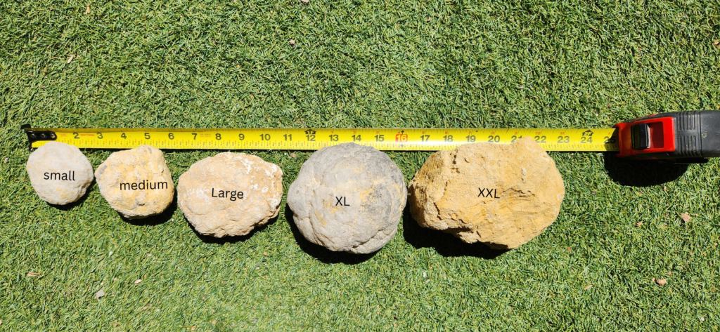 Geode Extra Large (12 pack)