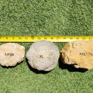 Geode Extra Large (12 pack)