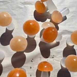 Selenite Mushroom