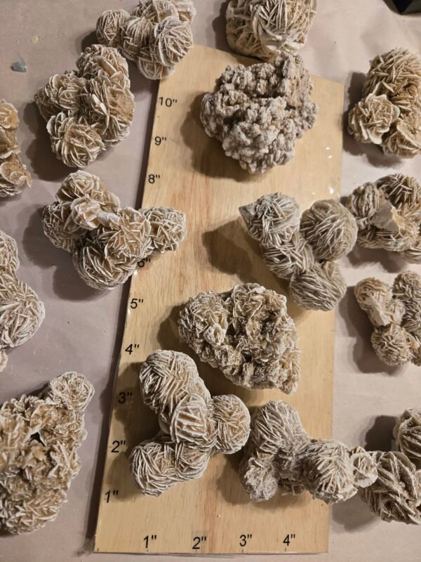 Desert Sand Rose