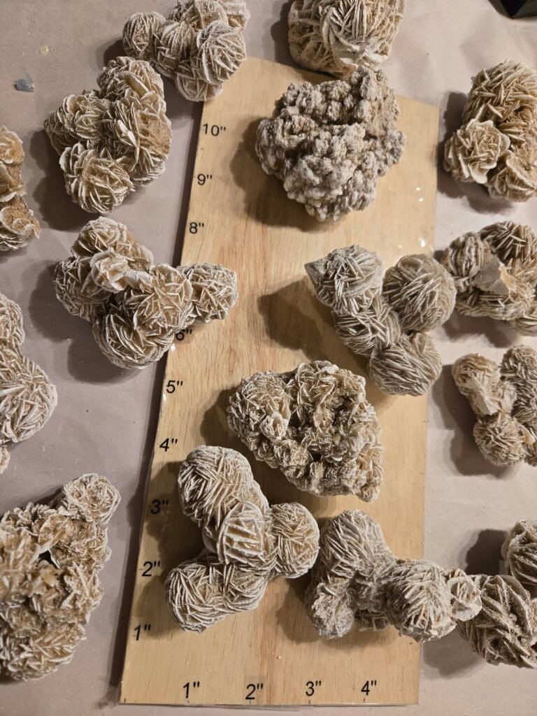 Desert Sand Rose