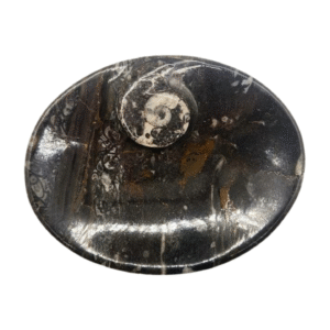 Ammonite Dish (Small 4.75 inch)