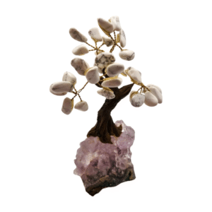 Howlite Money Tree on Amethyst Base