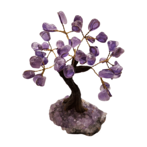 Amethyst Money Tree