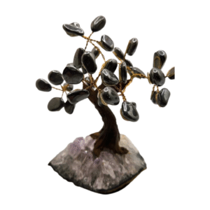 Hematite Money Tree