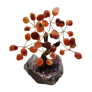 Carnelian Money Tree