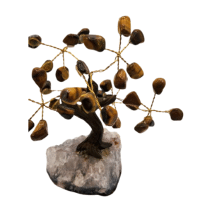 Tigers Eye Money Tree