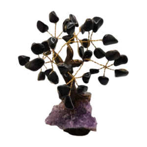 Black Onyx Money Tree