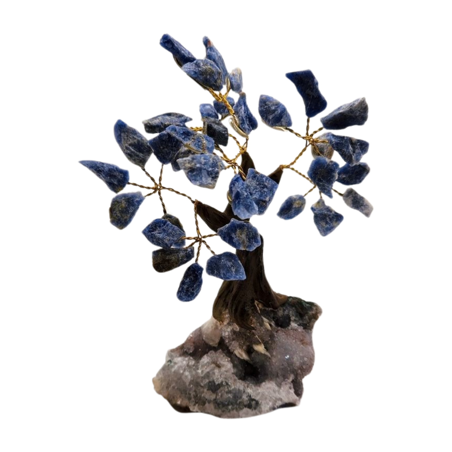 Blue Tourmaline Money Tree