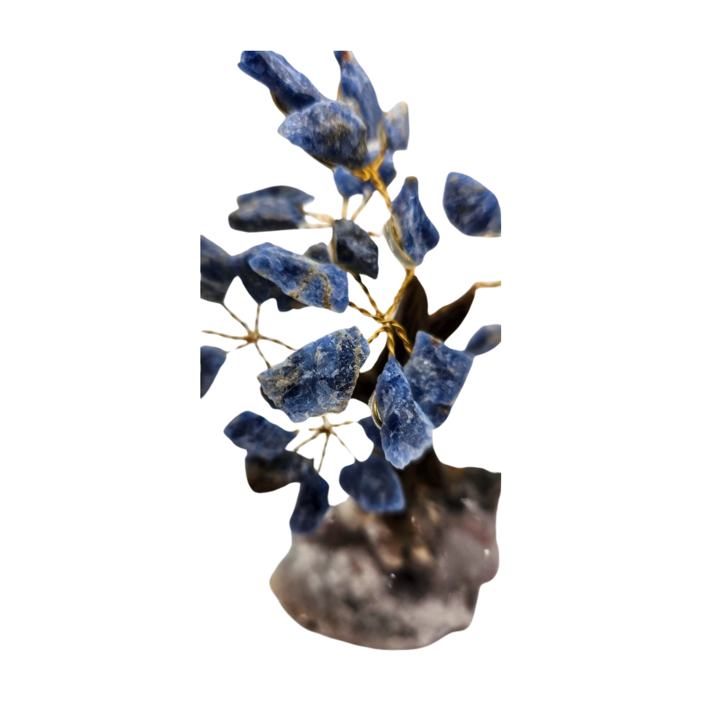 Blue Tourmaline Money Tree - Image 3