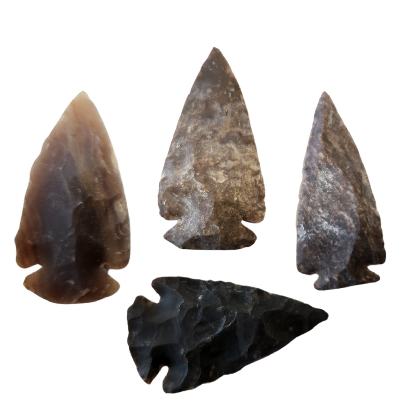 Large Agate Arrow Heads (Packs of 50) 2"