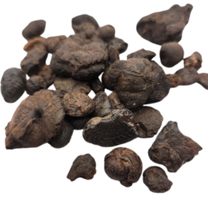 Ammonite Fragments Per Pound
