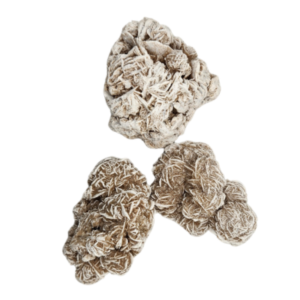Desert Rose