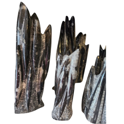 Orthoceras Sculpture